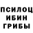 Псилоцибиновые грибы мухоморы Dastan Akylbekov
