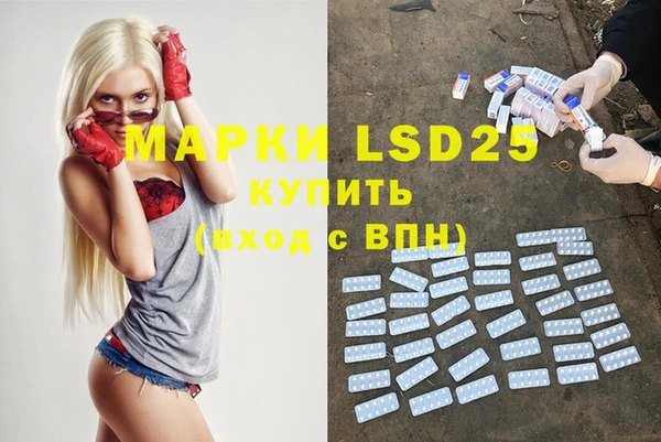 шишки Верея