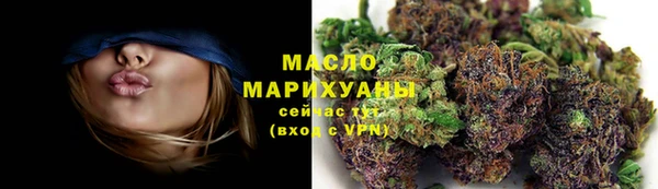 шишки Верея