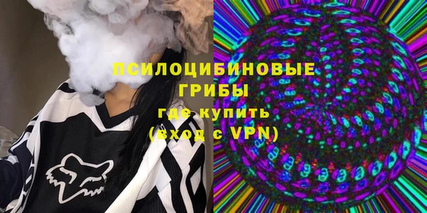 шишки Верея