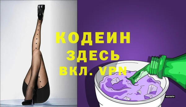 МДПВ Бородино