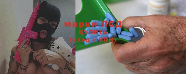 МДПВ Бородино