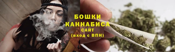 шишки Верея