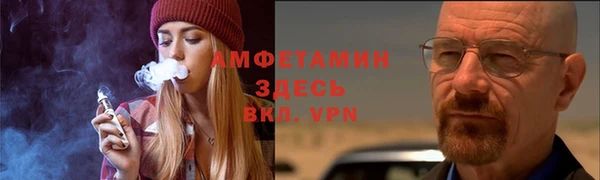 МДПВ Бородино