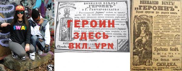 шишки Верея