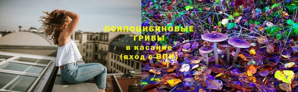 крисы Верхнеуральск