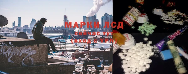 шишки Верея