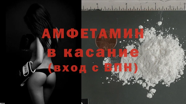 шишки Верея