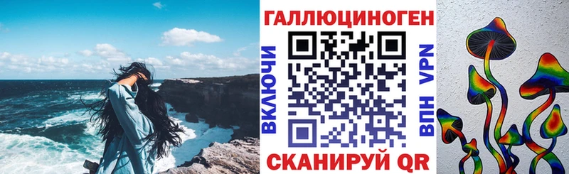 Псилоцибиновые грибы Psilocybe Владикавказ